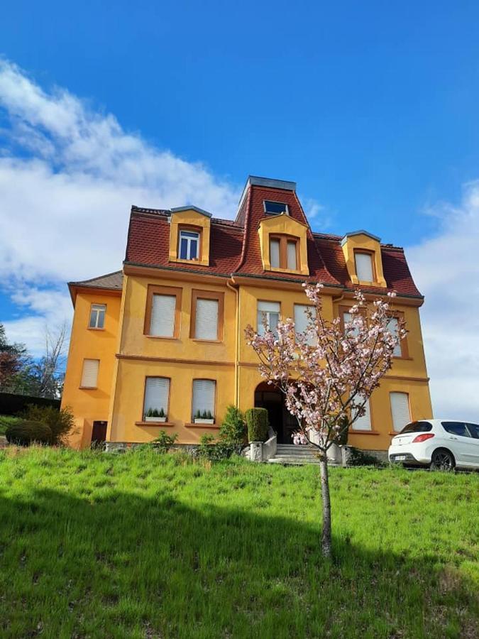 Studio Soleil Au Hohwald Zewnętrze zdjęcie
